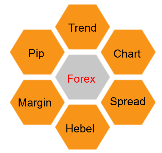 Forex Begriffe